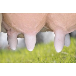 Prefoam Plus