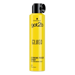 Schwarzkopf Got2b · Spray...
