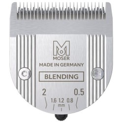 Moser Tête de coupe 1887...