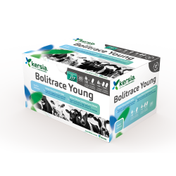 Bolitrace Young / Karton à...